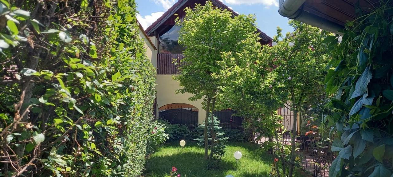 Pensiunea Magnolia Sibiu Bagian luar foto