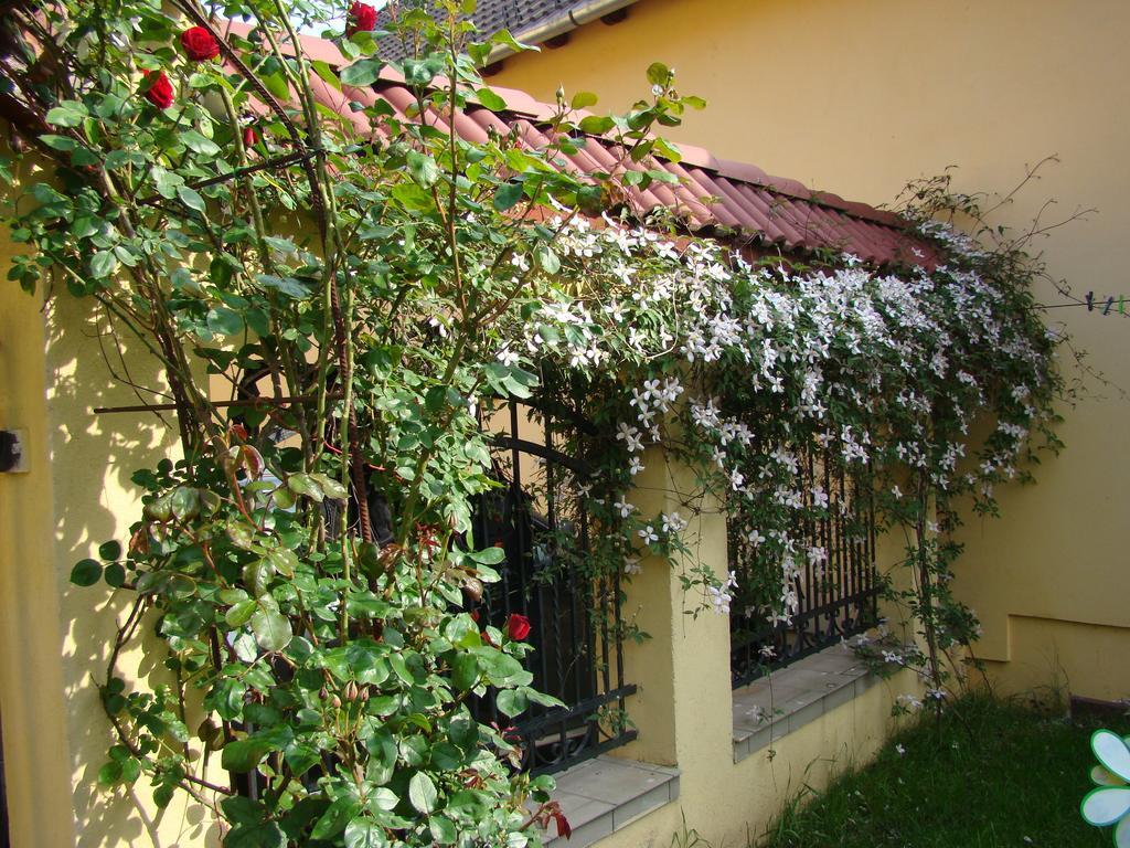 Pensiunea Magnolia Sibiu Bagian luar foto