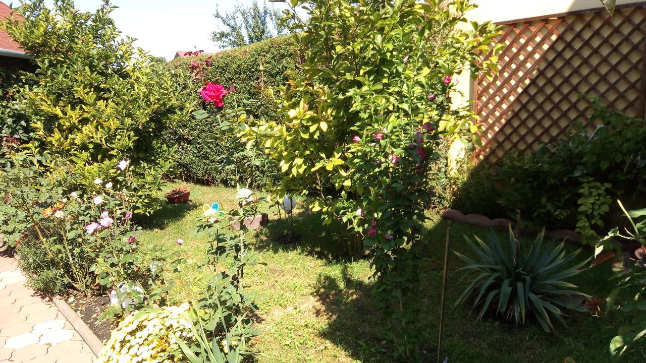 Pensiunea Magnolia Sibiu Bagian luar foto