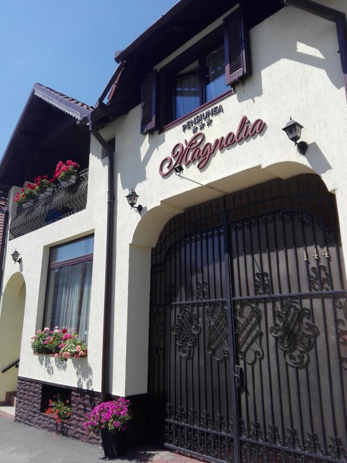 Pensiunea Magnolia Sibiu Bagian luar foto