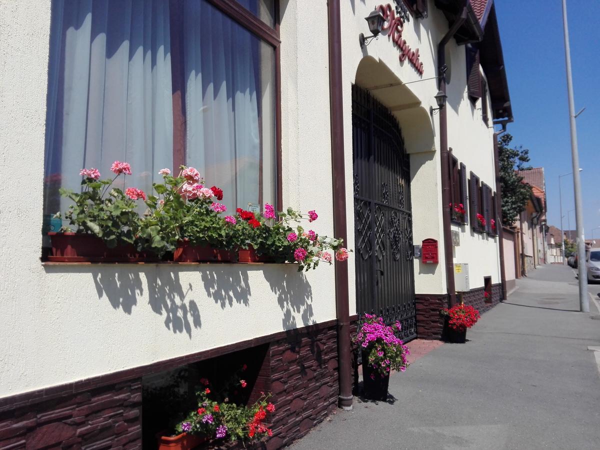 Pensiunea Magnolia Sibiu Bagian luar foto
