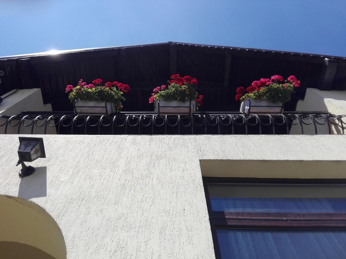 Pensiunea Magnolia Sibiu Bagian luar foto