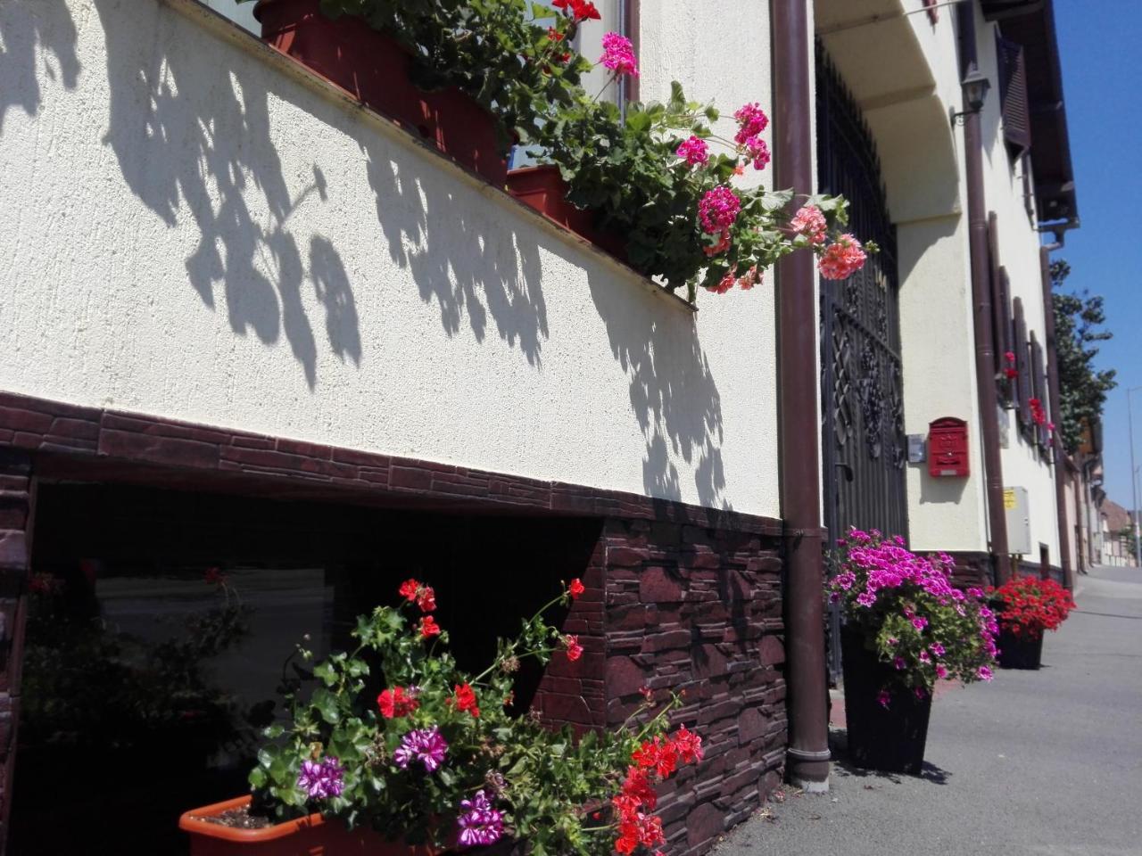 Pensiunea Magnolia Sibiu Bagian luar foto