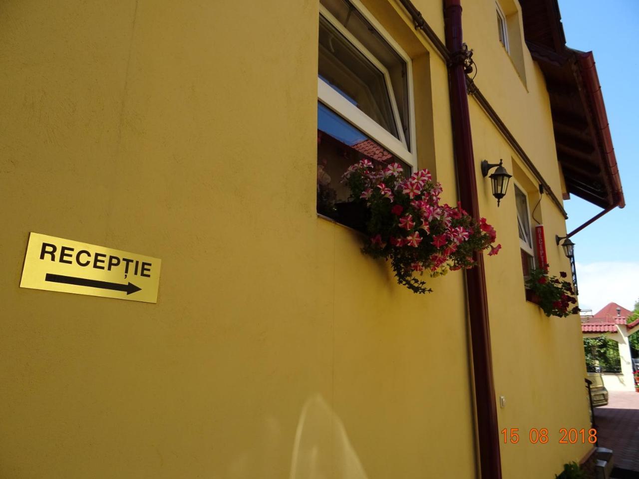 Pensiunea Magnolia Sibiu Bagian luar foto