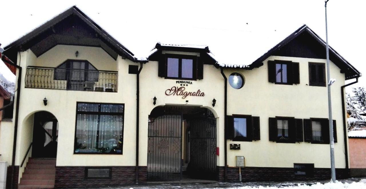 Pensiunea Magnolia Sibiu Bagian luar foto