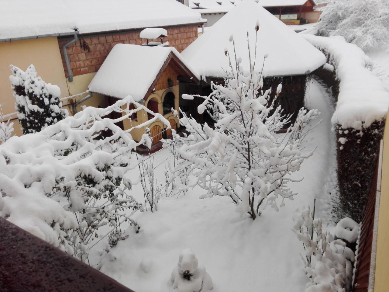 Pensiunea Magnolia Sibiu Bagian luar foto