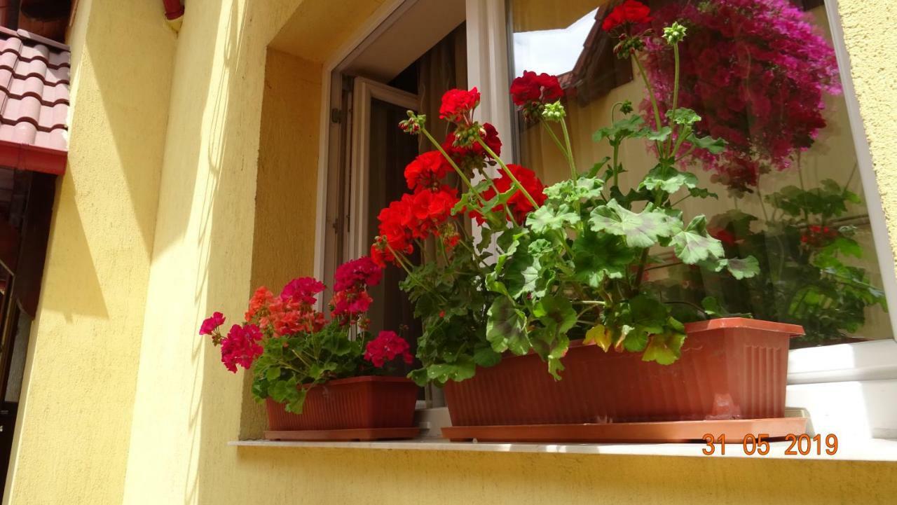 Pensiunea Magnolia Sibiu Bagian luar foto